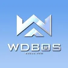 WDBOS - Tantangan Seru dalam Permainan Puzzle